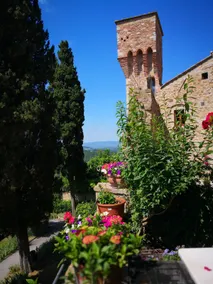 Apartment Fiorenza in the Chianti Classico region - Image 5