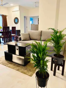 2 BHK with pool & cafe Siolim,North Goa Benji’s - Image 4