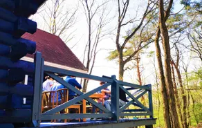[Private cabin surrounded by nature in Nasu Kogen] Suitable for family trips, large gatherings, and parties! - Image 4