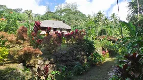 Polynesian bungalow in Moorea - Image 2