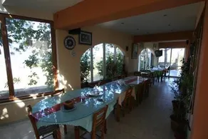 Aqua Marine - Image 4