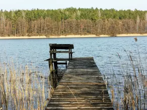 Dom Lodge for 8 at Lake, Masuria, Warchaly - Image 5