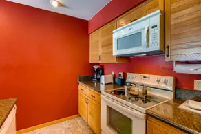 Updated 1 Br - Ski-In Ski-Out Access Condo - Image 2