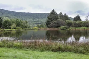 Country Escape! 5 Bed/5 bath,pond,Game Rm,Fire Pit - Image 4