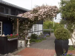 Charming home on Bornholm - Image 2