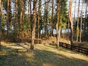 Dom Lodge for 8 at Lake, Masuria, Warchaly - Image 3