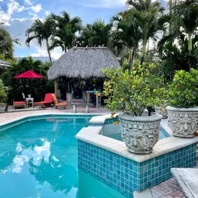Tropical Charm - Image 3