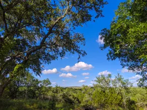 Hawk's Hollow- A Funky Hill Country Cabin - Image 5