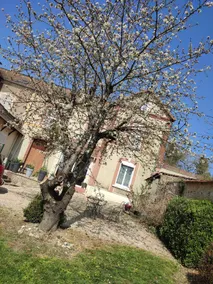 La Maison Fleurie 2 - Image 2