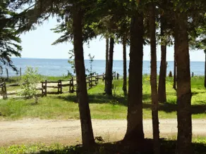 Le Sahara du fleuve, access and view of the river - Image 2