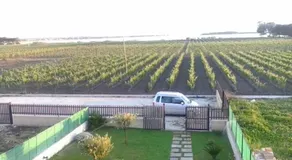 Entire Villa by the sea kite surf - Image 4