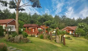 *Aewol Blue Sea\Sky/Stars/Forest/Best Views and Rest/Garten in Aewol** - Image 3