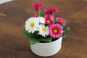 Beautiful Central Flat Top-17 - Image 4