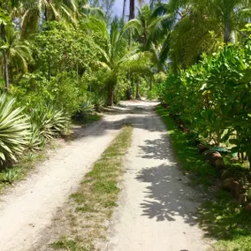 Polynesian bungalow private garden Temae Beach - Image 3