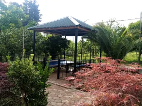 Cozy apartment in Chakvi, close to Oasis and Botanical Garden - Image 5