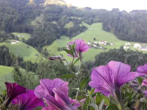 Chalet Hauser - Image 2