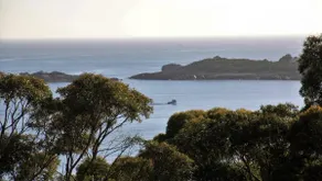BAY OF FIRES SEACHANGE Ocean frontage - Image 5