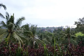 Ubud Rooms, Jungle View & Affordable / 2nd Floor A - Image 5