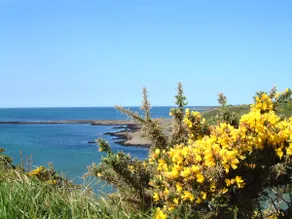 Plain-pied littoral Bretagne sud - Image 4