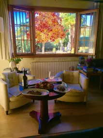 Exceptional villa 15 minutes from Plaza de Castilla - Image 5