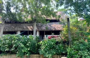 Casa Palapa - Image 2