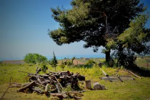 Villa Chiara - Image 3