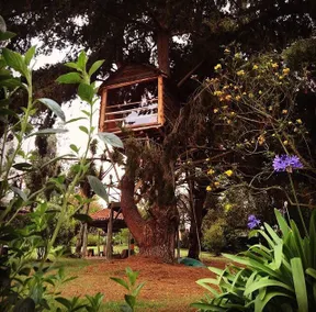 Your Sanctuary in Tabio - Image 4