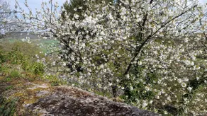 LA BAURETTE *** - Image 5
