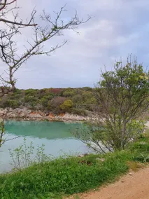 BLUE LAGUNA 2 - Image 5