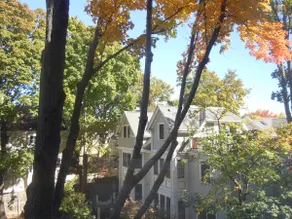 Harvard Square Home in Heart of Cambridge! - Image 2