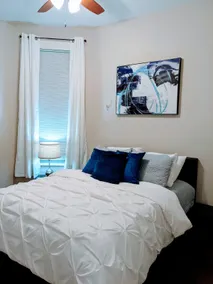 Spacious Bronzeville Apartment - Image 4