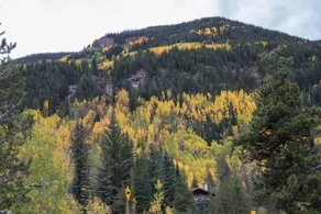 East Vail Condo on Free Vail Busline 4x hrly peak - Image 4
