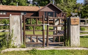 Homestead Cabin away from the Crowds - Image 2