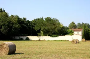 Guest House - Bed and Breakfast - Image 4