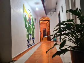 Comfortable room in the heart of the City - Image 2