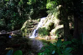 Namaste Jungle Paradise - Image 3