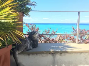 Penthouse With Sea View - Image 3