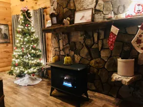Rustic Off-Grid Forest Cabin - Independence Lodge - Image 3