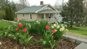 Asheville 2 Cozy Bungalow. Pets OK! 5 Min To Dwtn - Image 4
