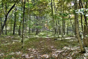 Private 88-Acre Retreat w/ Trails & Lake Views - Image 5