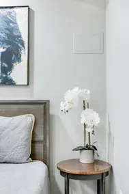 North Capitol Hill Suite Near Union Market - Image 3