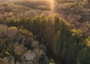 Hocking Hills & Hunting Hideaway - Image 2