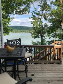 Finger Lakes Dropstar on Cayuta LAKEFRONT - Image 5