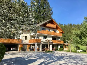 Brand new extra cosy appartment 300m from the lake - Image 2