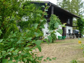 Unique Cottage in the Forest - Image 4