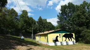 Spectacular Mountainhome Canine Retreat Dogs Fetch - Image 2