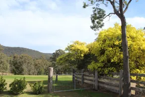 Cosy Cottage - Views,Vineyards,Cafes - Image 3