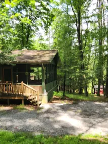 Cabin in Cook Forest! The White Conifer Cabin. - Image 4