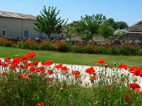 La Ponne, lovely gîte, large garden in Deux-Sèvres! - Image 2