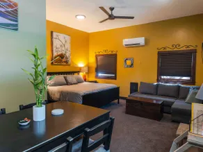 Modern Spacious Studio in Heart of Whiteaker! - Image 3